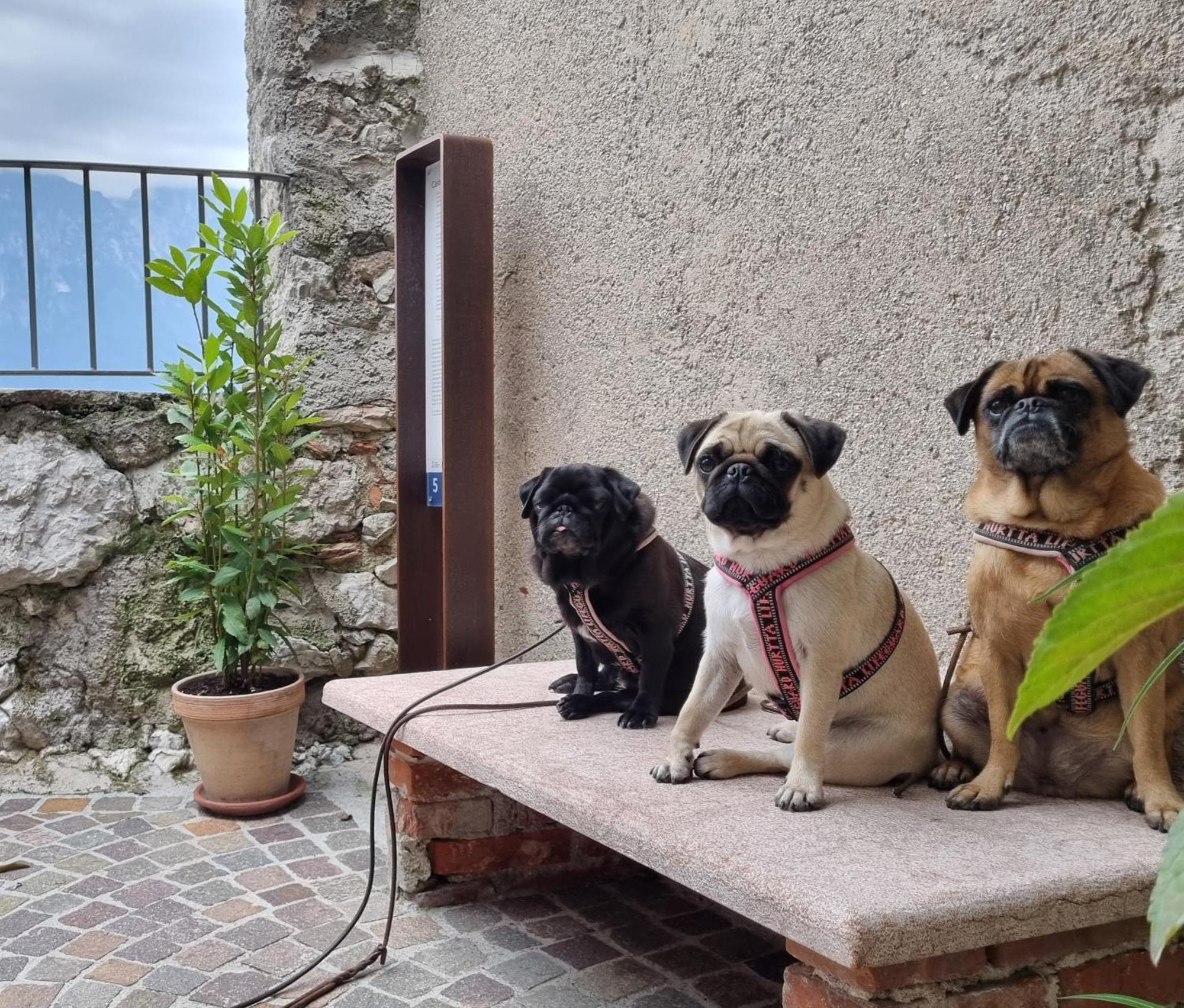 Locanda Al Castelletto Tremosine Экстерьер фото